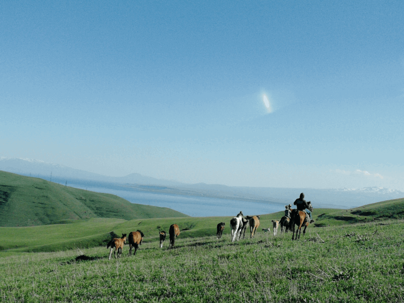 EXCLUSIVE TOURS 🐎 Horse Riding Adventure in the Mountains of Armenia