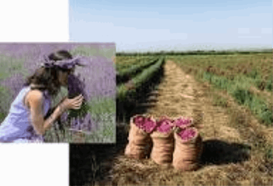 TOURS Women’s Soulful Escape to Armenia 9 Days / 8 Nights