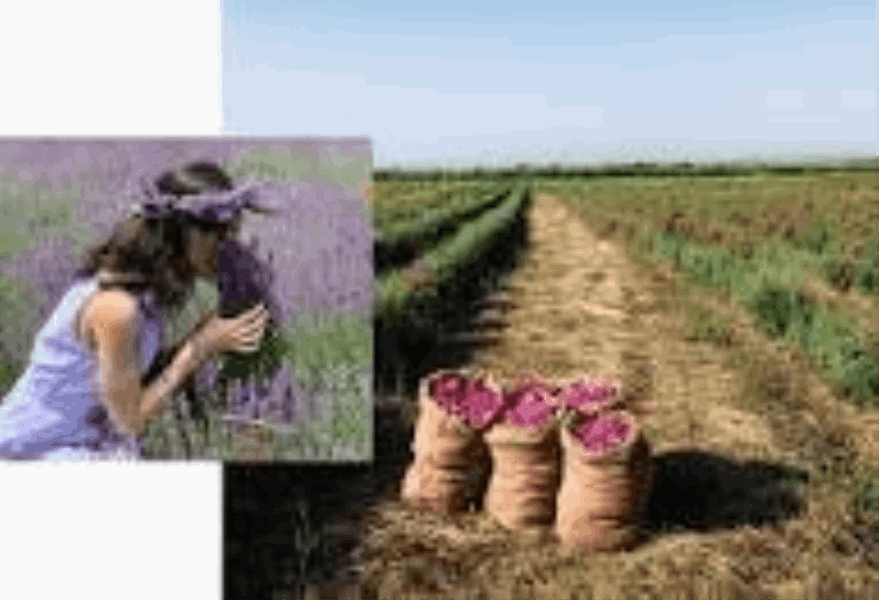 TOURS Women’s Soulful Escape to Armenia 9 Days / 8 Nights