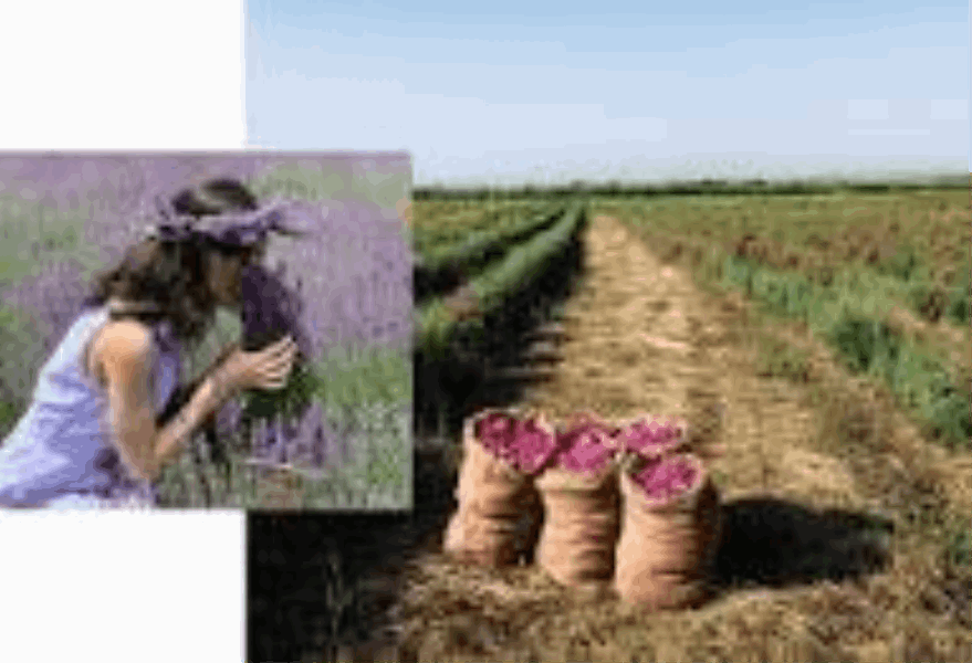 TOURS Women’s Soulful Escape to Armenia