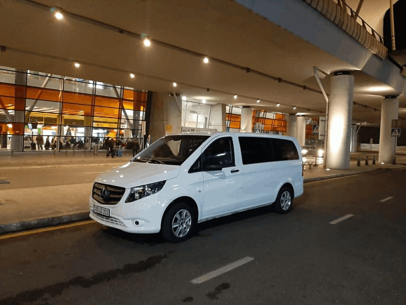 MERCEDES ՄԵՔԵՆԱՅԻ ՎԱՐՁԱԿԱԼՈՒԹՅՈՒՆ Mercedes Vito